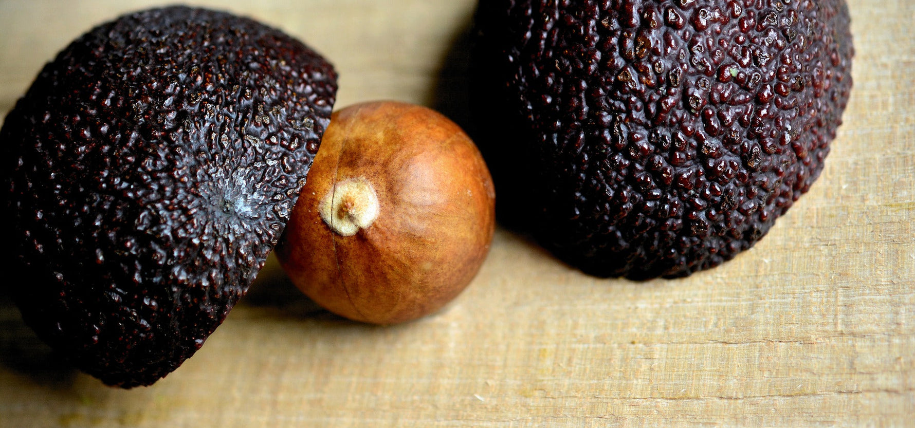 Growing Your Own Avocado Trees