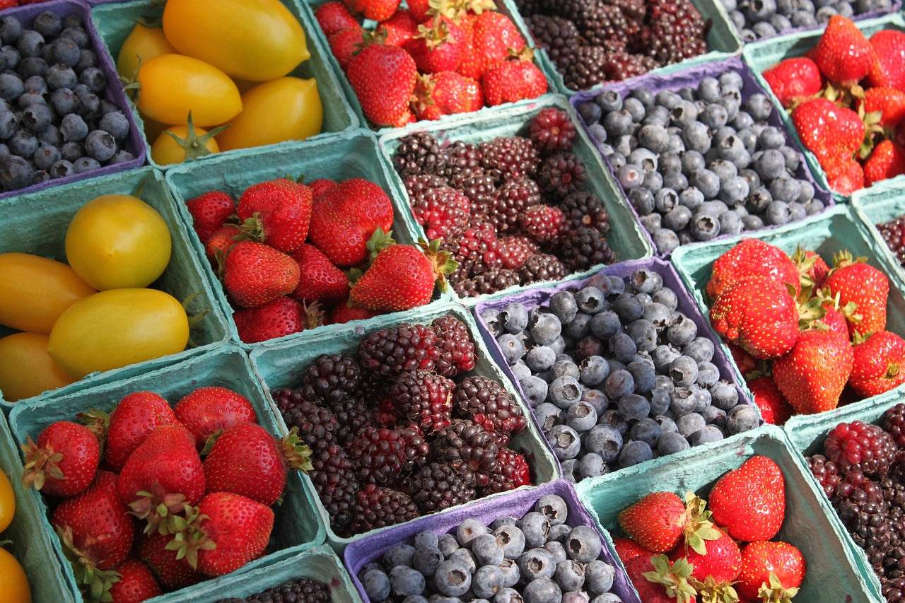 5 EASY Plants to Grow: Fruit Edition