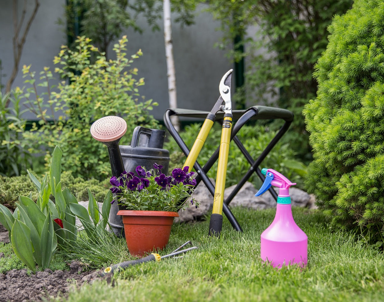 Avoiding 5 Common Gardening Mistakes