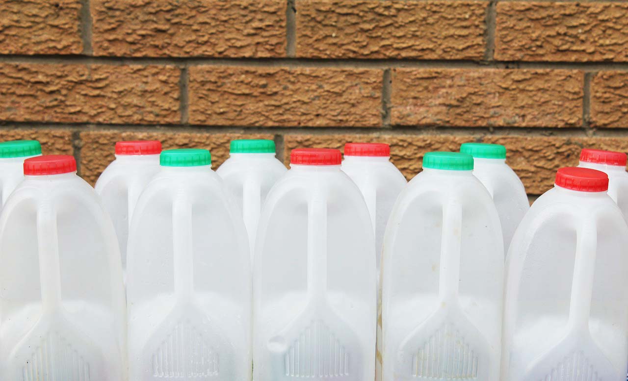 All you need are plastic jugs, seeds, and potting mix