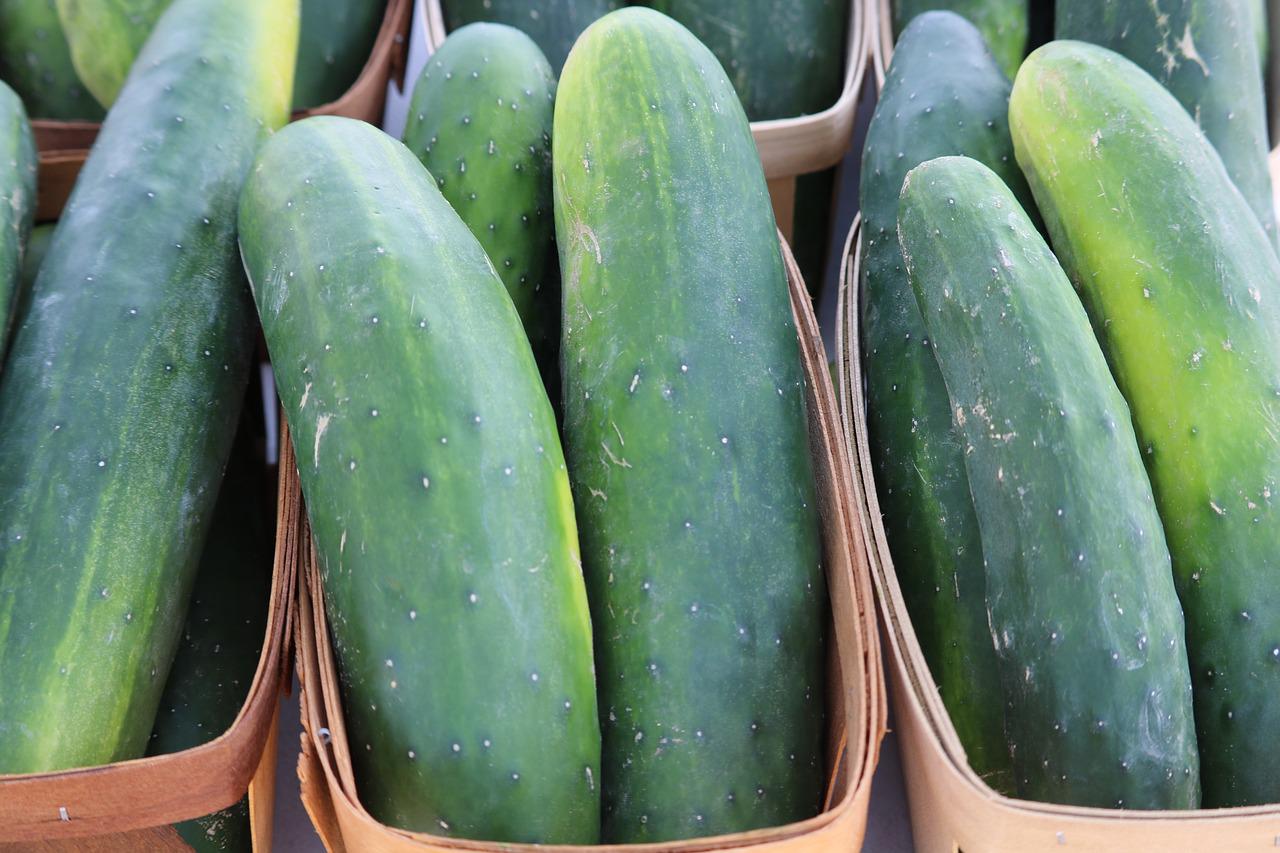 Vegetables to Grow in Summer