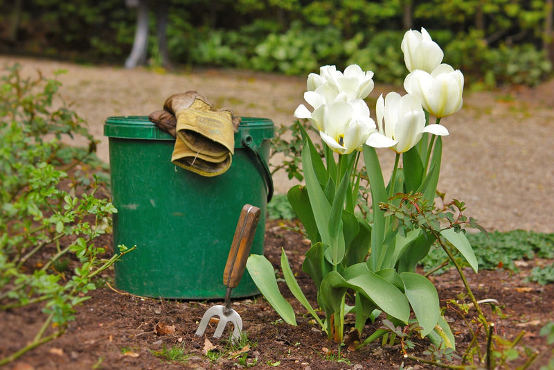 Common Gardening Terms to Know!