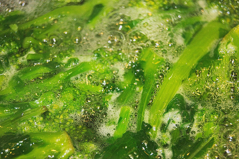 Sustainable Gardening for The New Year - Water Conservation