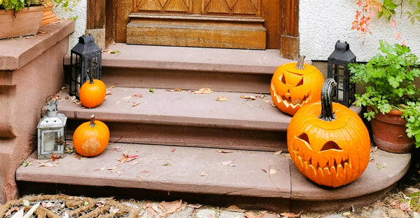 Make your Halloween pumpkin last longer with these easy steps!