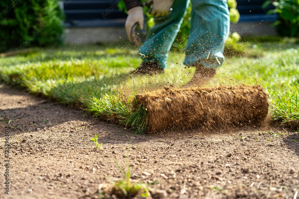 H&G - Turf & Lawn