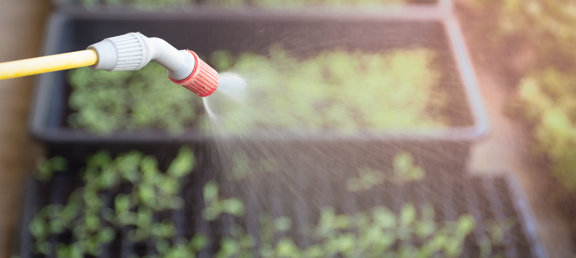 Farming - Plant Protection