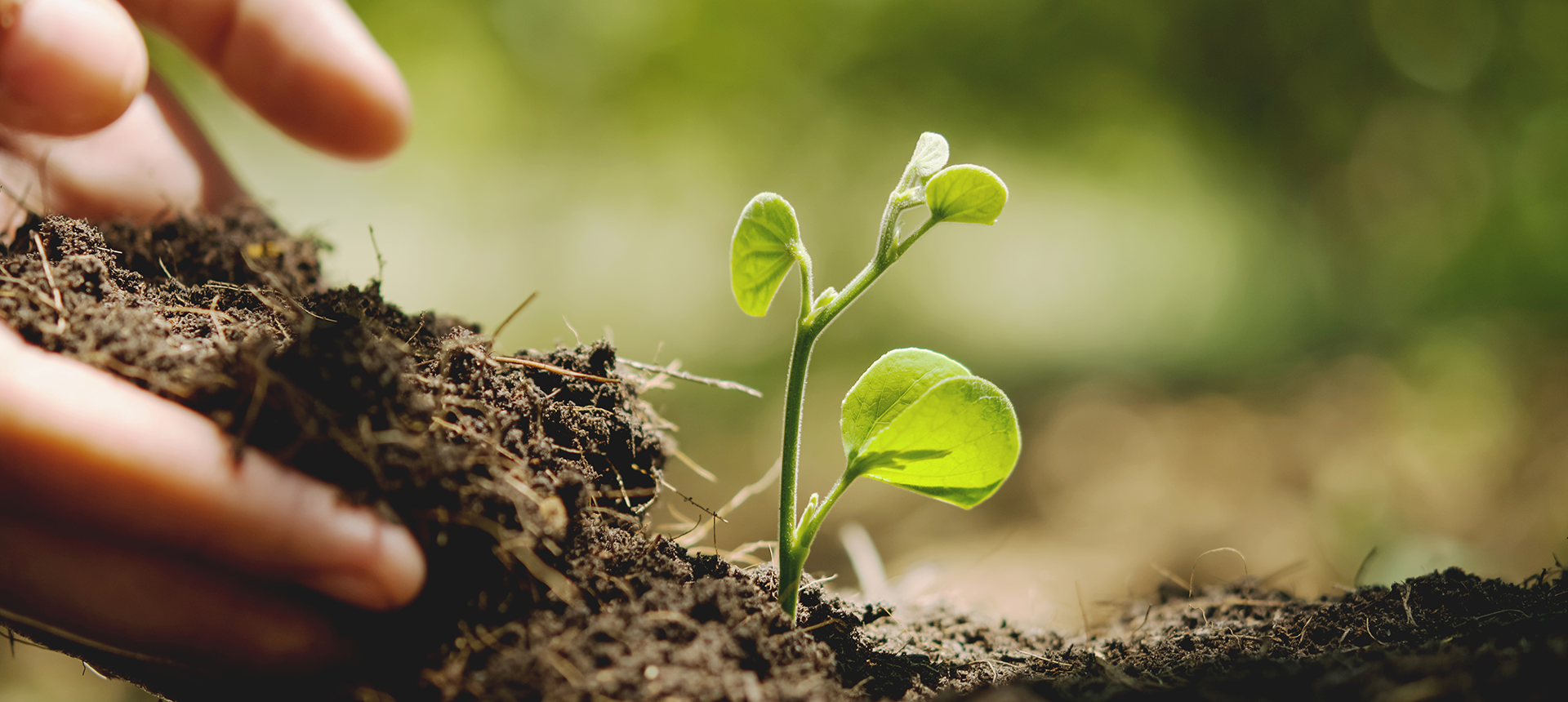 Farming - Amendments & Biologicals