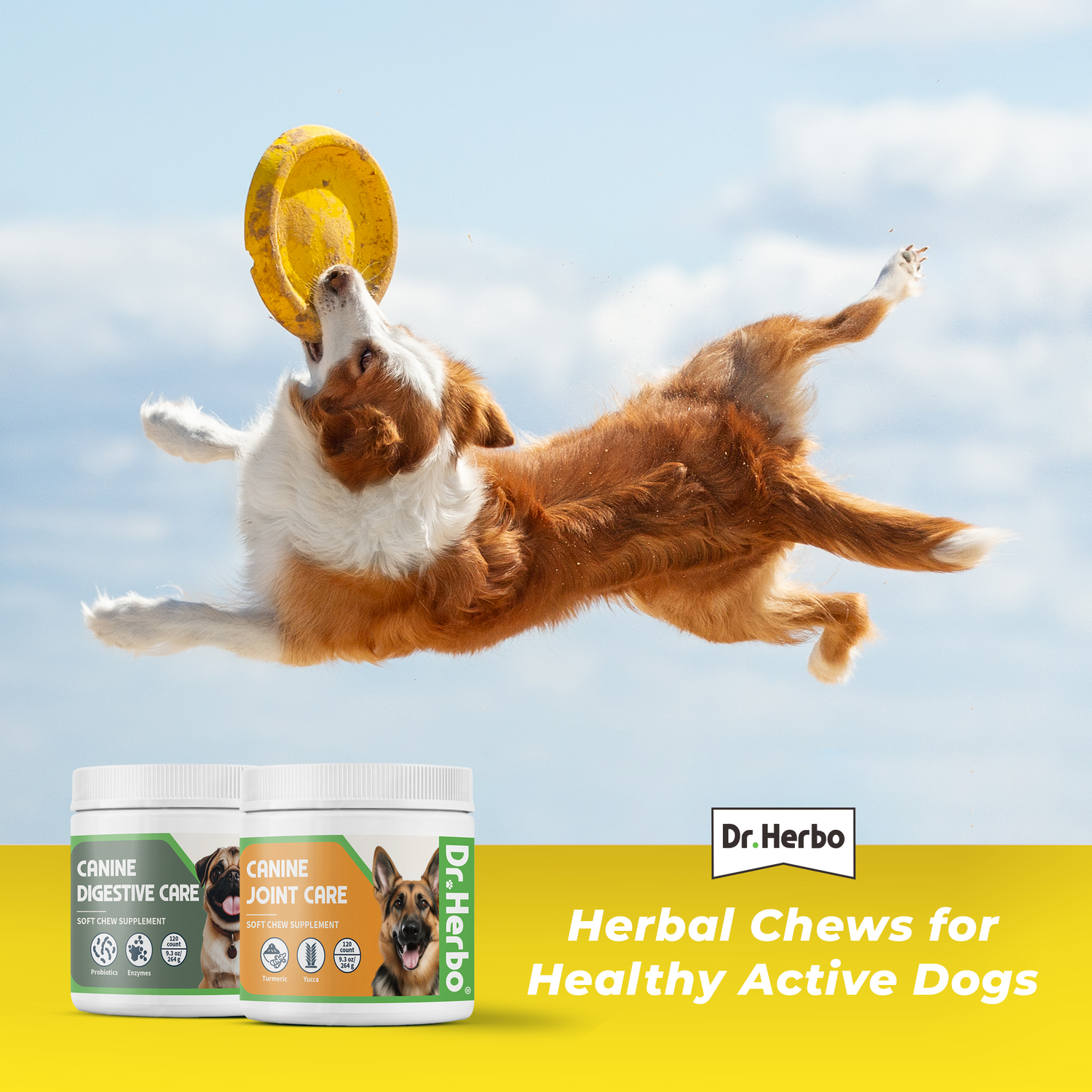 Dr Herbo Active Dog Bundle - 120 Chews Each