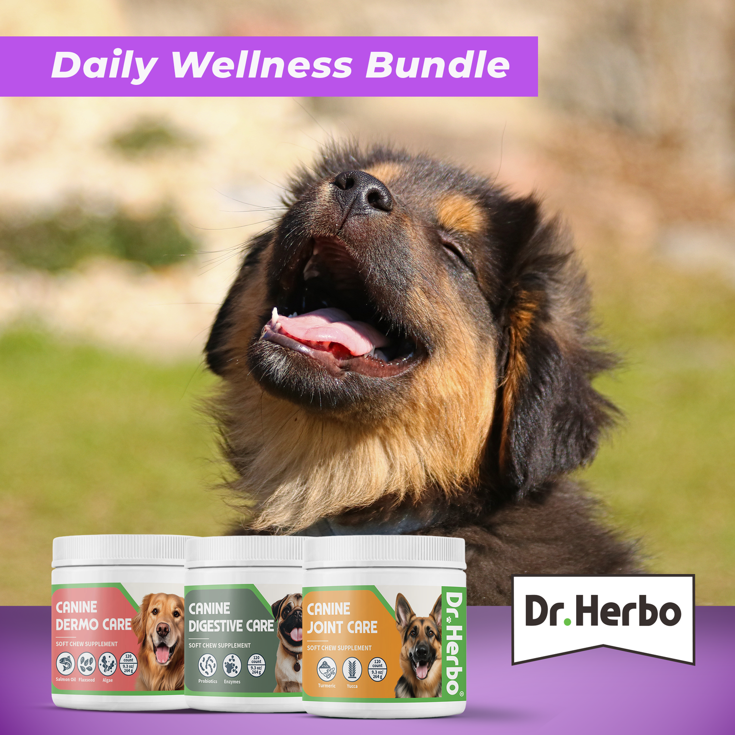 Daily Wellness Bundle - 120 Chews Each