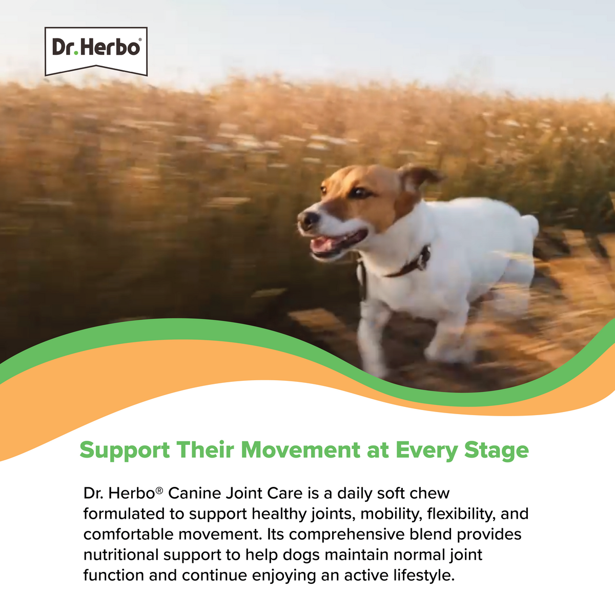 Canine Joint Care Soft Chew