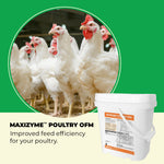 Maxizyme Poultry OFM product with chickens on a green background
