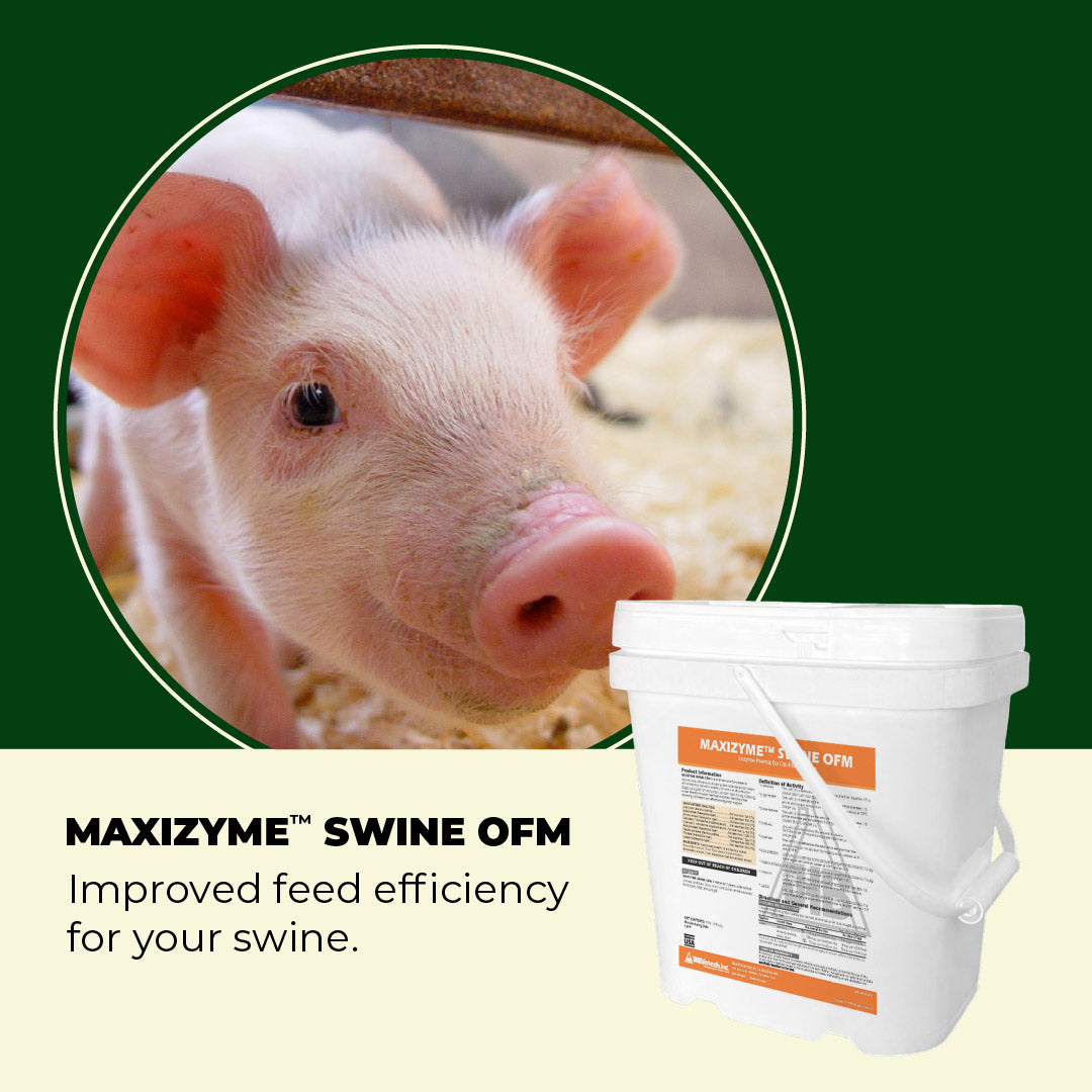 White bucket labeled 'MAXIZYME SWINE OFM' with a piglet in the corner on a green background