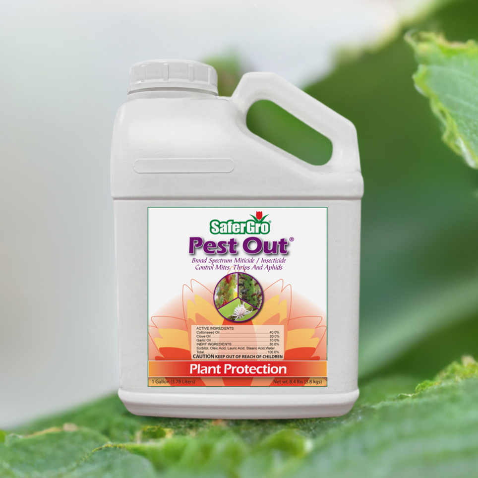 Pest Out® | Natural Miticide and Insecticide | SaferGro