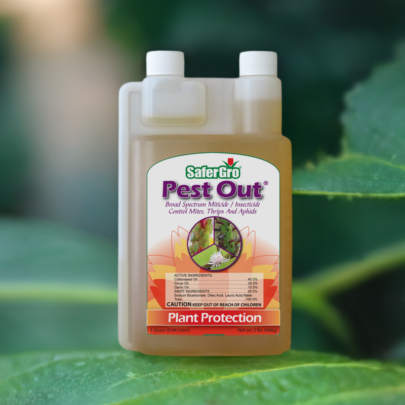 Insecticide Natural