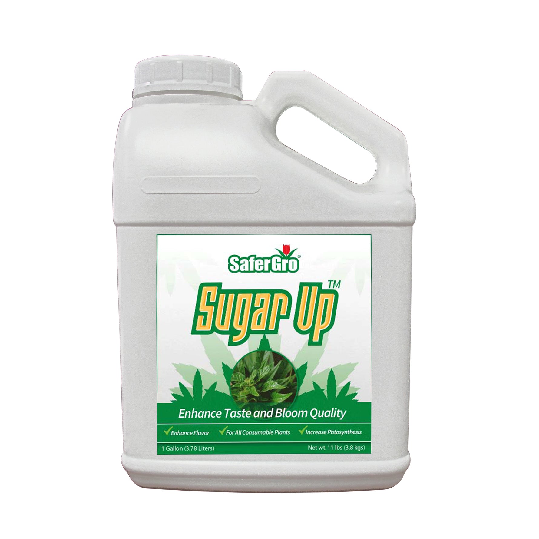 sugar water for pot plants Sugar Up™