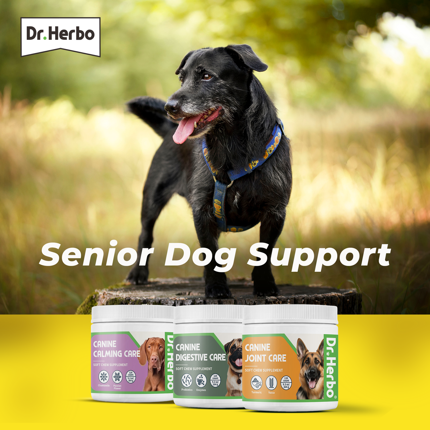 Senior Dog Support Bundle - 120 Chews Each