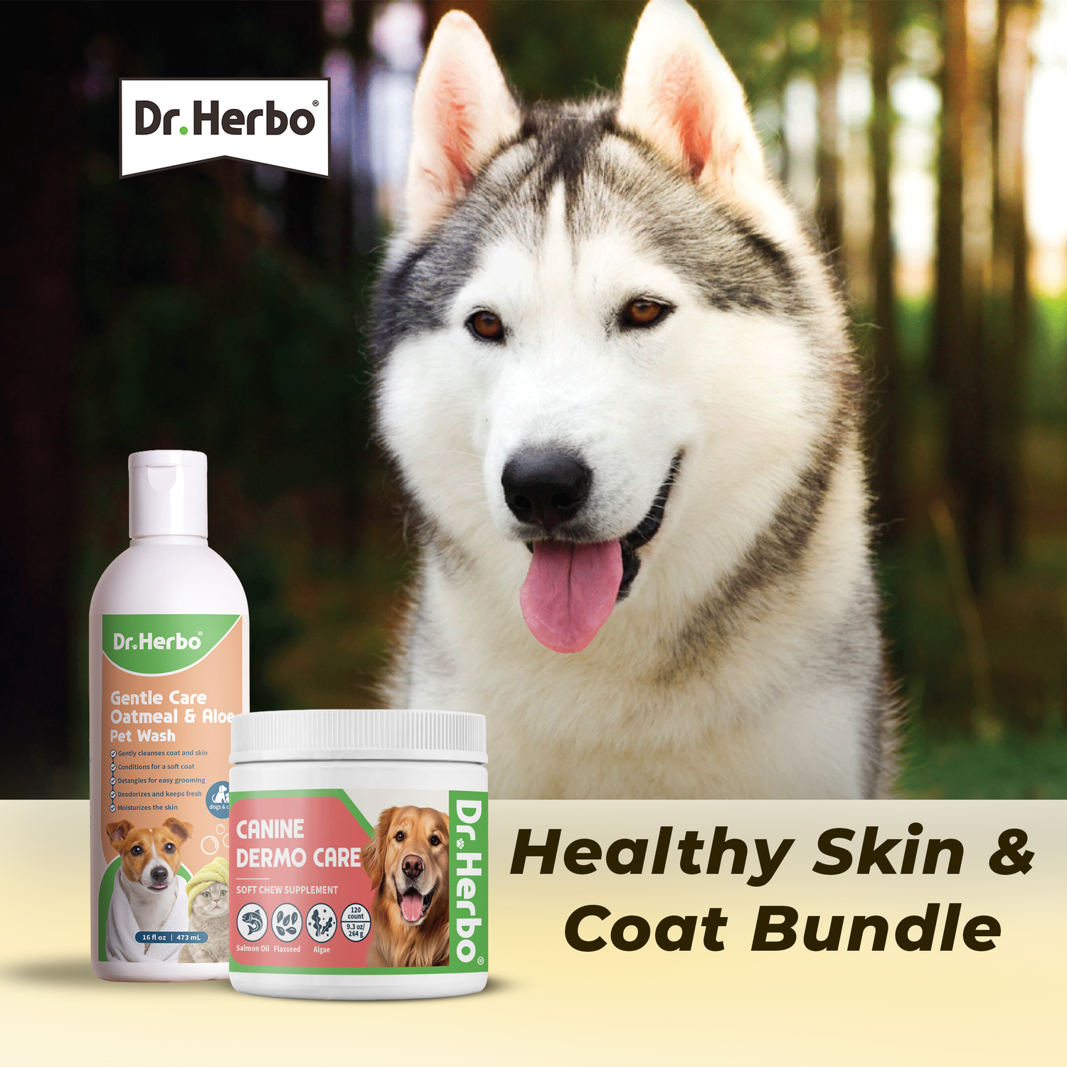 Canine Skin and Coat Bundle