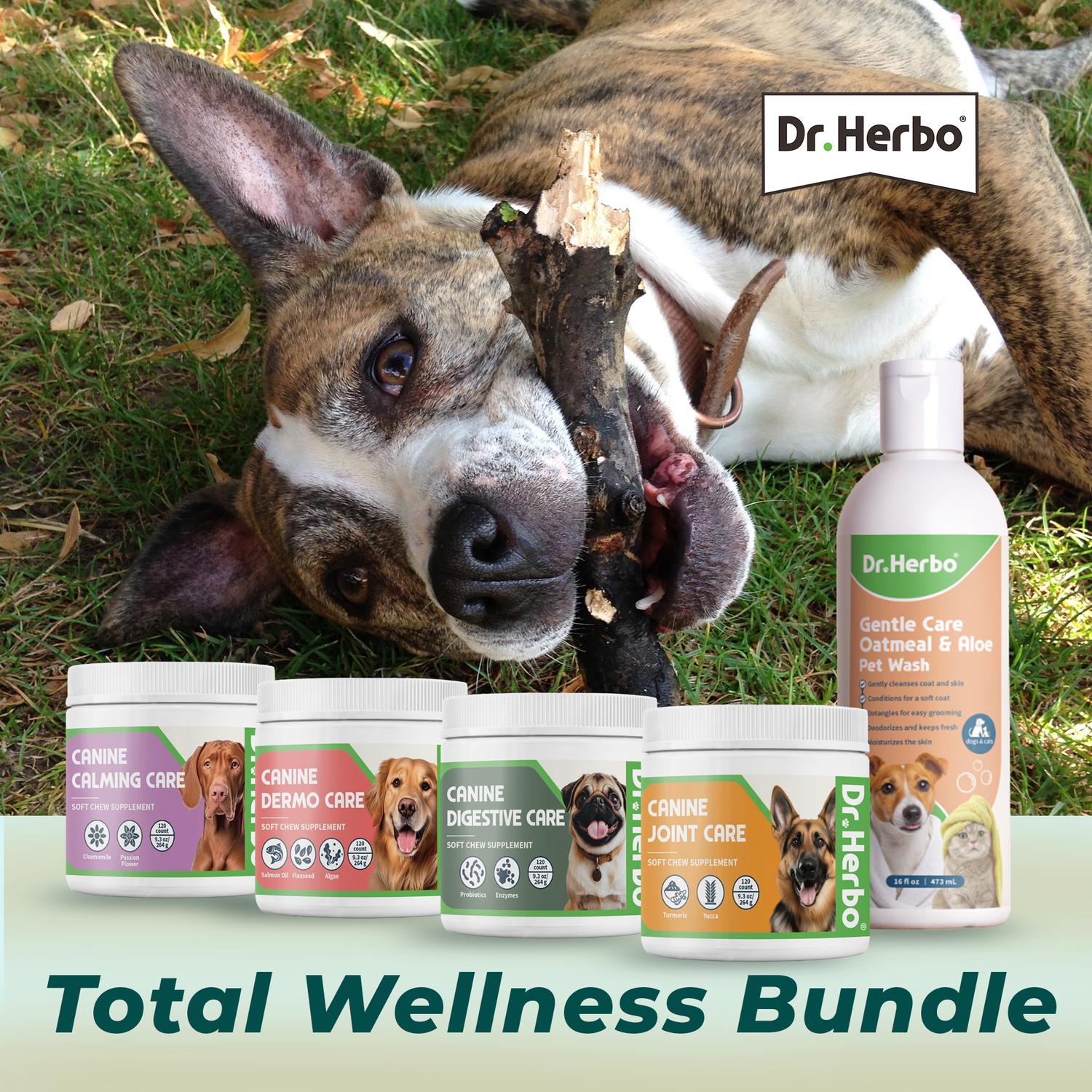 Total Wellness Bundle