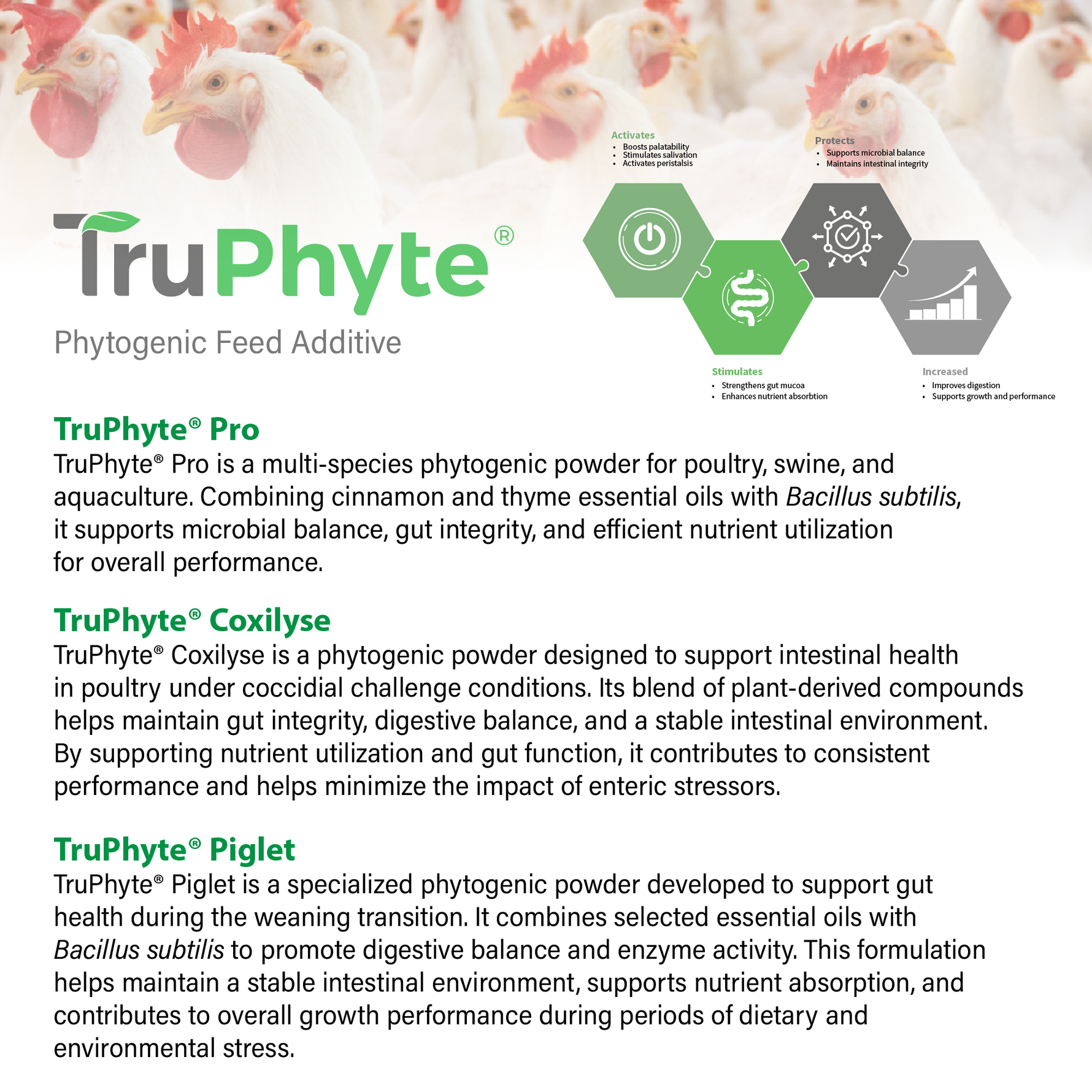 Information about the Truphyte Feed Additive line