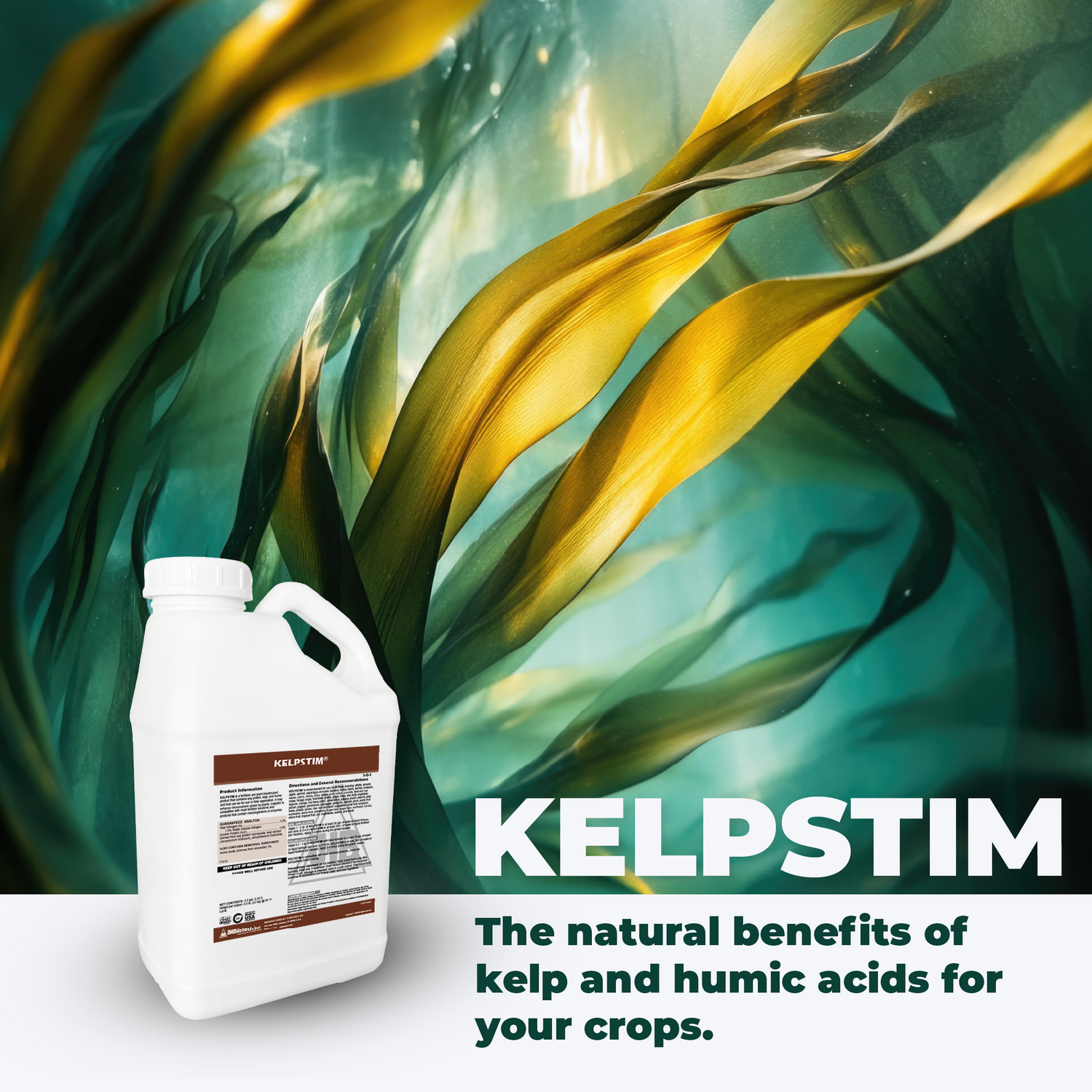 KelpStim® | Natural Kelp Fertilizer
