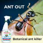 Ant Out botanical ant killer spray bottle with an ant on a leaf