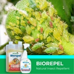 Biorepel natural insect repellent with aphids on a plant