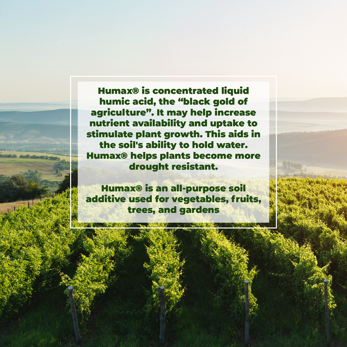Vineyard with text overlay about Humax®, a soil additive.