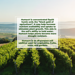 Vineyard with text overlay about Humax®, a soil additive.