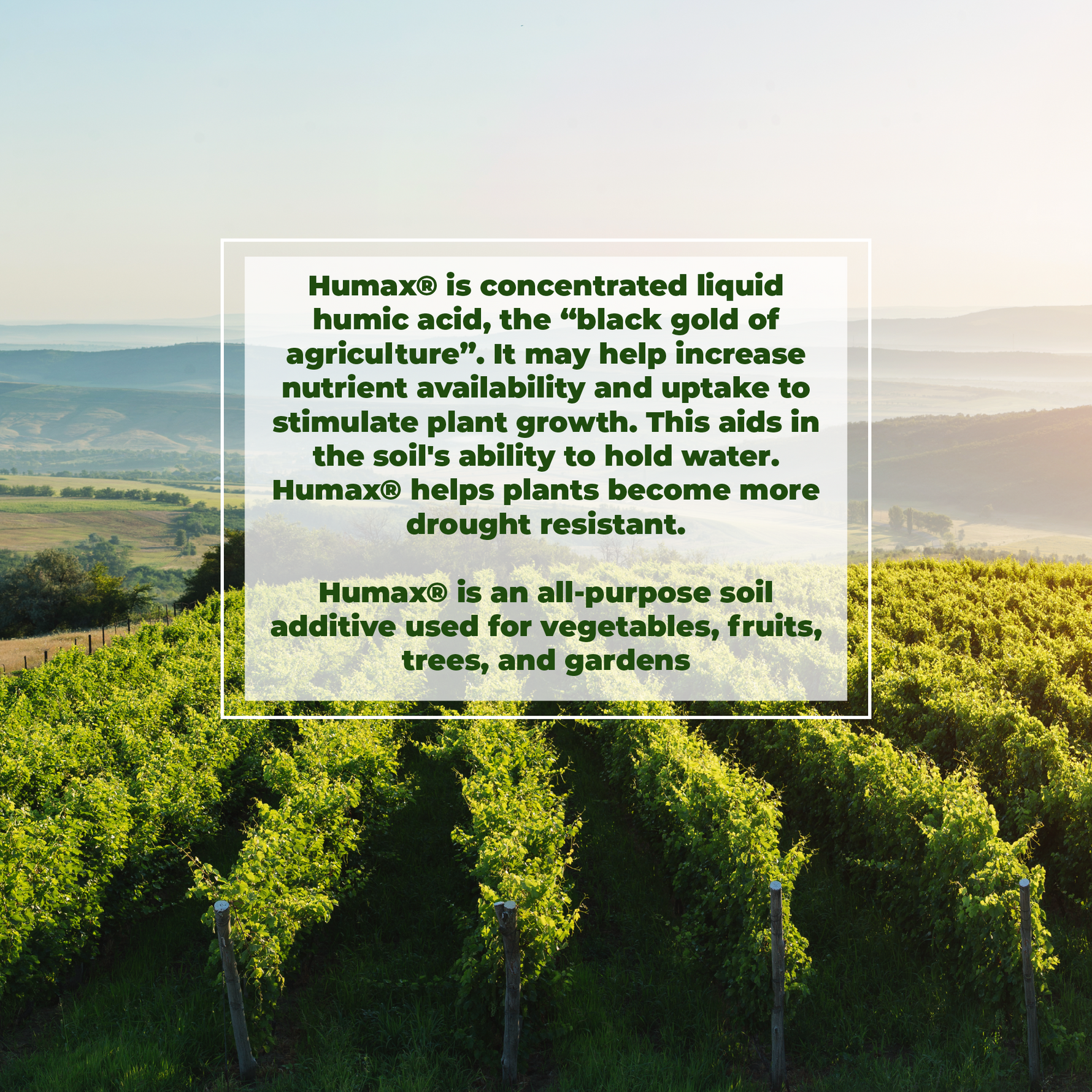 Vineyard with text overlay about Humax®, a soil additive.