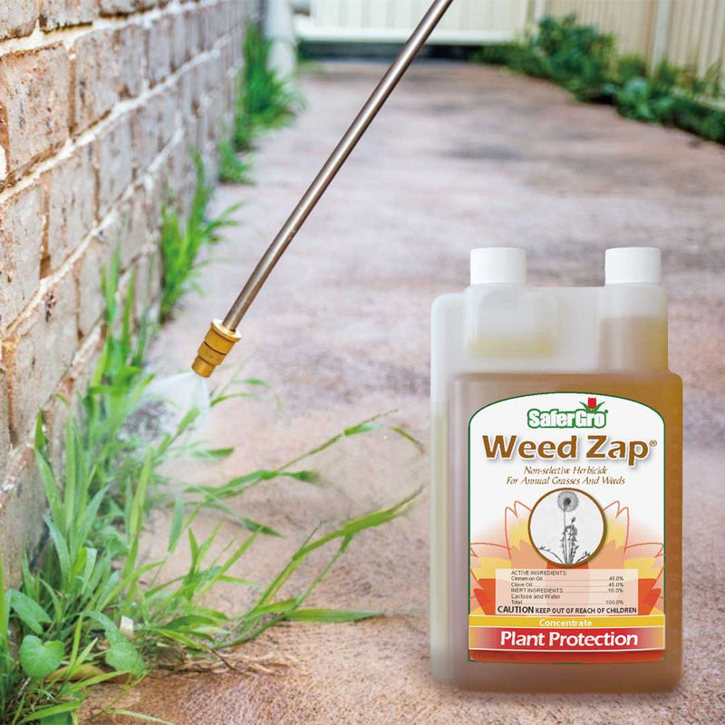 Professionals spray Weed Zap onto the weeds on the wall to remove grass