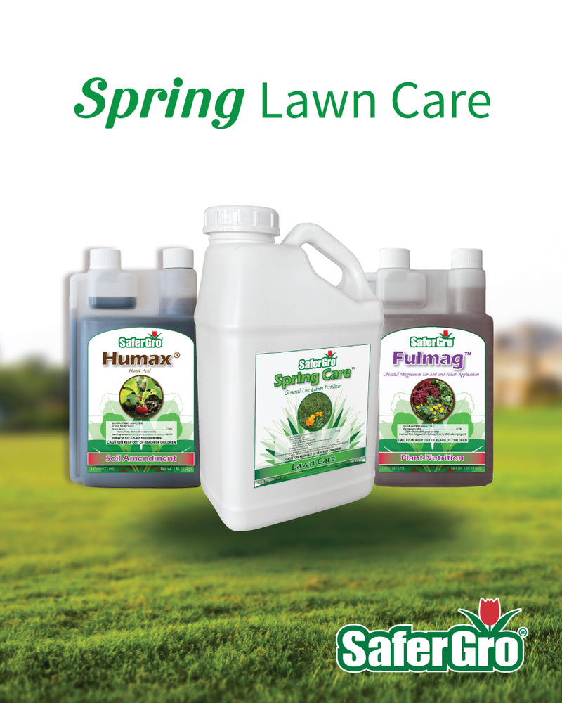 Spring Lawn Care Products: Top Picks for a Lush Green Lawn