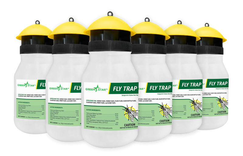 Flesh fly trap deals